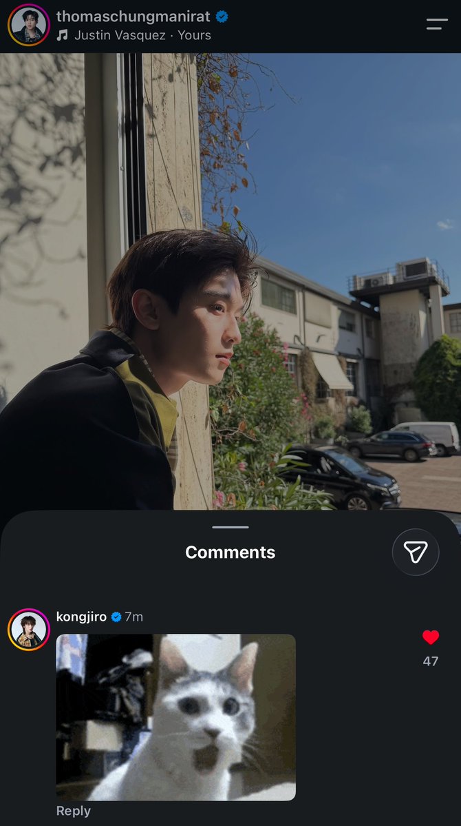 jirogangg's tweet photo. they’re obsessed with these cat gifs / memes 🙂‍↔️ https://t.co/gJazb9Rb6q