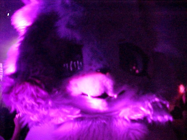 AmalyceIsGay's tweet photo. Mewow purple.....

📸: @KilroyVB https://t.co/lHfjZetKoQ