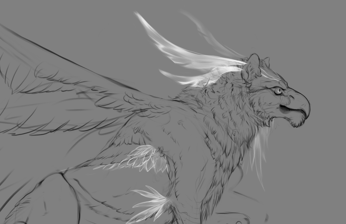 AshesDrawn's tweet photo. New character underway👀 https://t.co/98BCWk2Azu
