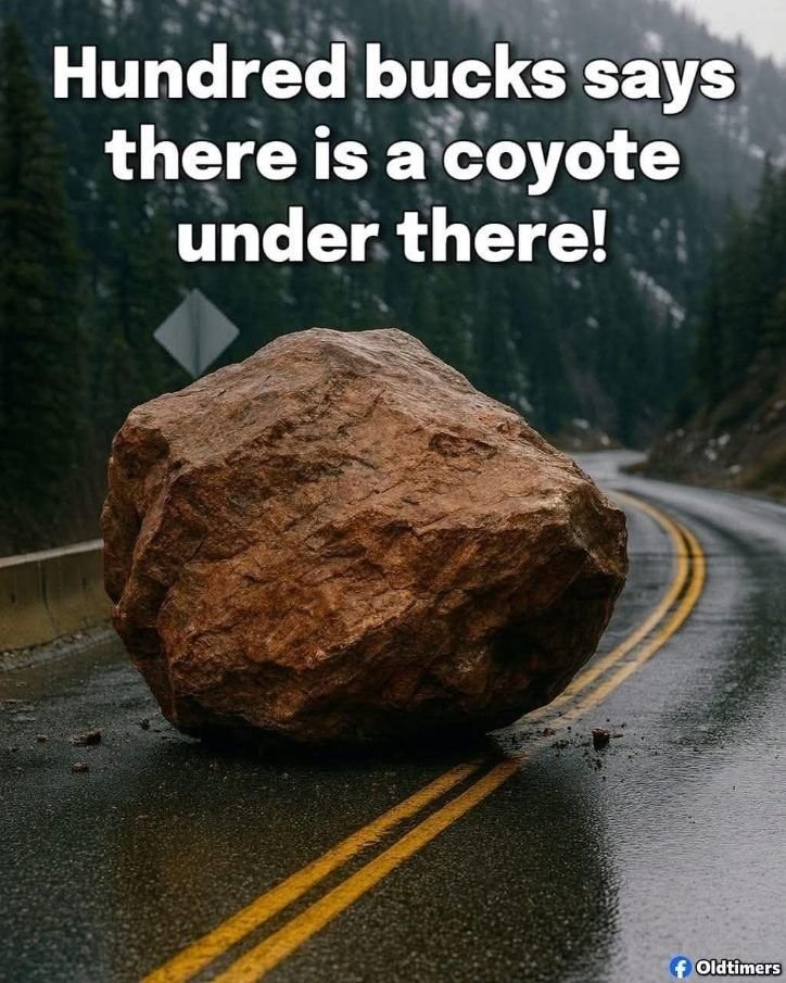 AndysRetroStuff's tweet photo. 😂😂 https://t.co/aViJgfliQN