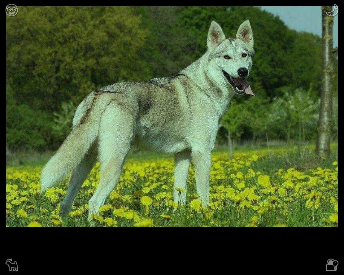 Apiz_jej's tweet photo. Nature wakes slowly with every morning running stride. The faint fragrance of wild flowers floats in the air, the mist lingers over the green fields, and rhythmic running lets you fully absorb the fresh vitality of early morning nature.🔪70% charged phone for school https://t.co/zeCl7ygcsw