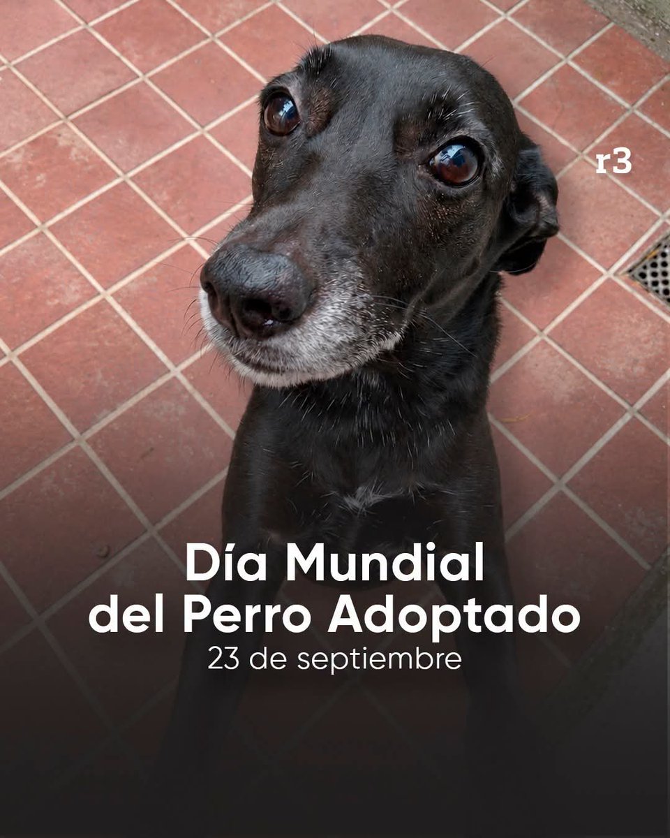 SoledadM1998's tweet photo. Feliz día 🥰 https://t.co/BM3VUOkSBF