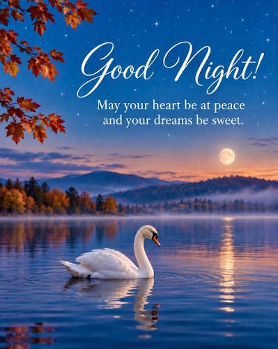 sarahward595's tweet photo. Happy Wednesday evening ,
May you enjoy a calm rest time . Plus a relaxing night. Sweet dreams, sleep well.
#WritingCommunity #AutumnVibes #eveningtime #goodnight https://t.co/QnEu8mVkYk