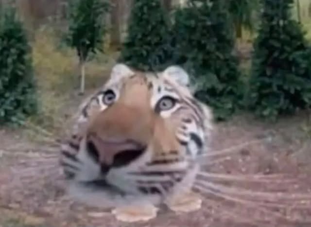 alexsmith9914's tweet photo. WIho else is awake? am once again awake at 3 to 4 in the morning. https://t.co/6TC9uCkTBW