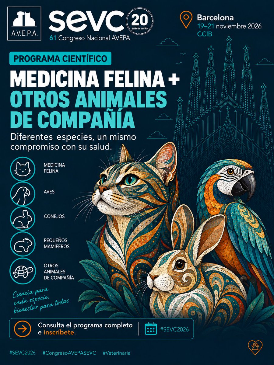 AVEPA_vet's tweet photo. #MedicinaFelina y #OtrosAnimalesdeCompañía en #SEVC2026 : Conducta, diagnóstico, cirugía y bienestar.
Barcelona | 19–21 noviembre 2026
Descubre el programa e inscríbete en https://t.co/uuiefTEWma
#Veterinaria #CongresoAVEPASEVC https://t.co/jyC6xUUGF7