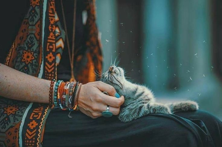 _1Anu's tweet photo. آسانیاں تقسیم کریں ورنہ مشکلیں جمع ہوجائیں گی https://t.co/GH0Xvt1UUZ