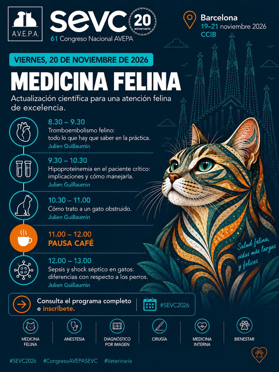 AVEPA_vet's tweet photo. #MedicinaFelina y #OtrosAnimalesdeCompañía en #SEVC2026 : Conducta, diagnóstico, cirugía y bienestar.
Barcelona | 19–21 noviembre 2026
Descubre el programa e inscríbete en https://t.co/uuiefTEWma
#Veterinaria #CongresoAVEPASEVC https://t.co/jyC6xUUGF7