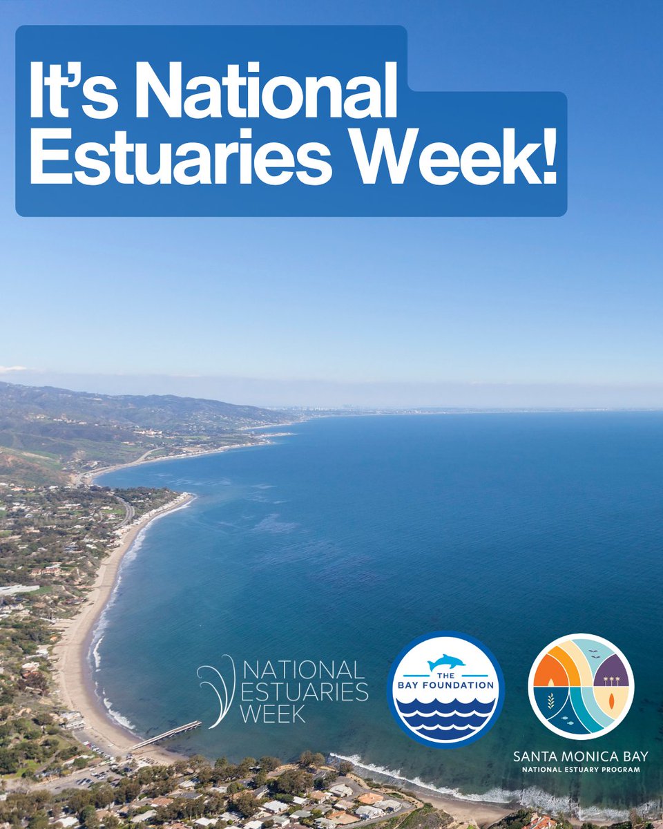 SMBRF's tweet photo. 🌊 #WadeIn to National Estuaries Week!🌿Did you know Santa Monica Bay is part of the Santa Monica Bay National Estuary Program? Estuaries are vibrant “nurseries of the sea” that connect communities to the coast. 💙 Celebrate by exploring, learning &amp; protecting your local coast! https://t.co/ADflfwLGct