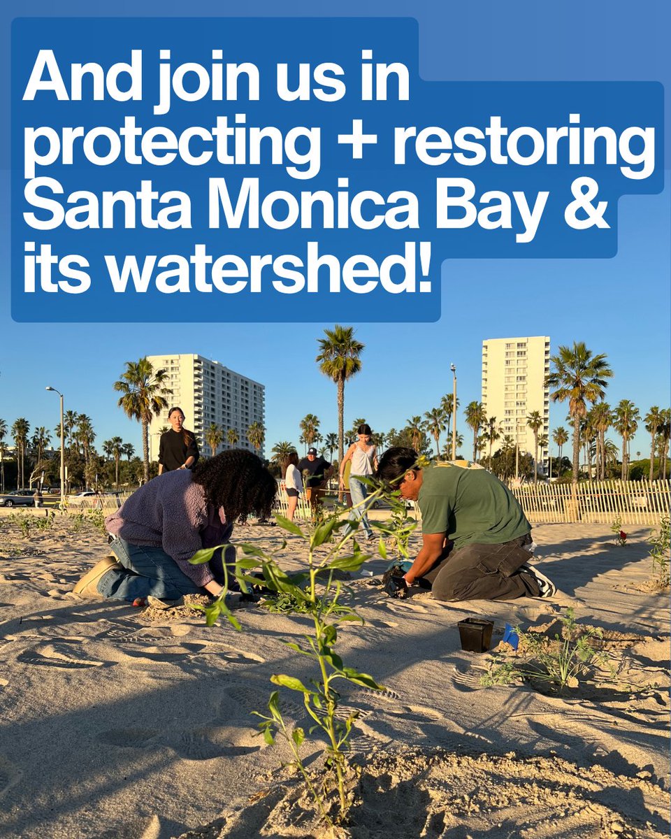 SMBRF's tweet photo. 🌊 #WadeIn to National Estuaries Week!🌿Did you know Santa Monica Bay is part of the Santa Monica Bay National Estuary Program? Estuaries are vibrant “nurseries of the sea” that connect communities to the coast. 💙 Celebrate by exploring, learning &amp; protecting your local coast! https://t.co/ADflfwLGct