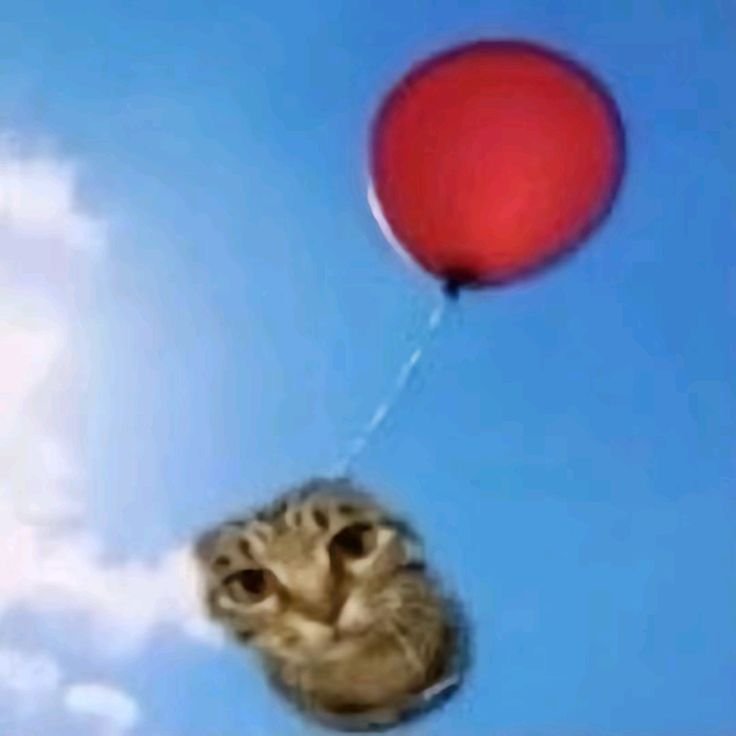 turkishwordotd's tweet photo. word of the day is:

balon • meaning balloon.

the word is derived from french “ballon”, meaning balloon. https://t.co/k3l7kDnj8z