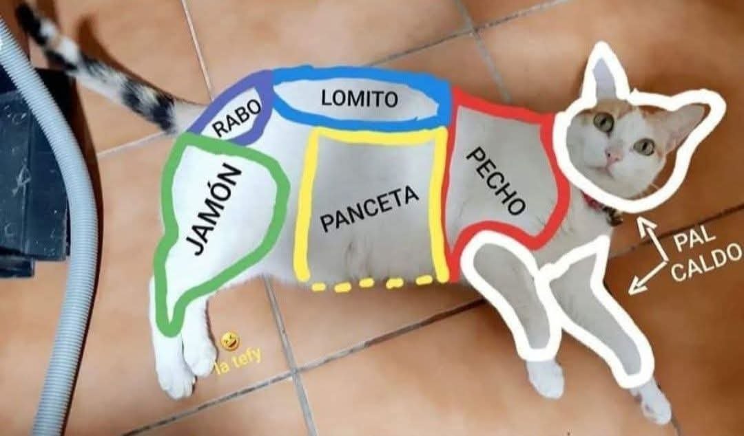 Mantequilla90's tweet photo. https://t.co/oGdrr4dikT