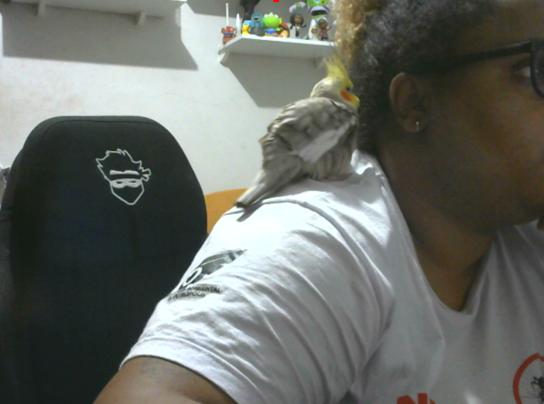 Bi4z1's tweet photo. depois que o xana morreu, o clebin só me deixa trabalhar assim https://t.co/E5y8YKzUeq