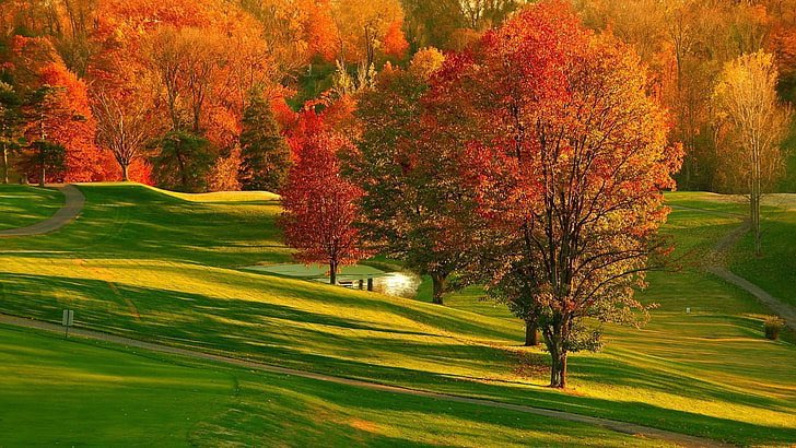 ShooterMcGavin's tweet photo. Happy first day of Fall. Reminder that fall golf is undefeated https://t.co/1orKyDq0bX
