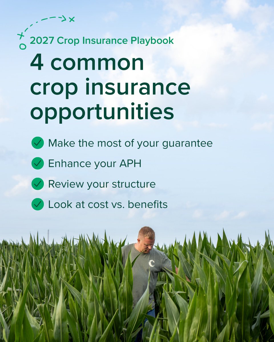 FCSAmerica's tweet photo. Are you getting the most out of your crop insurance policy?

Even small adjustments can have a meaningful impact on your risk management strategy. From APH enhancements to unit structures and policy guarantees, it's worth reviewing whether your policy is aligned with your operation's needs.

Use this checklist as a starting point, then explore our 2027 Crop Insurance Playbook. https://t.co/3gTzFVFJTv
