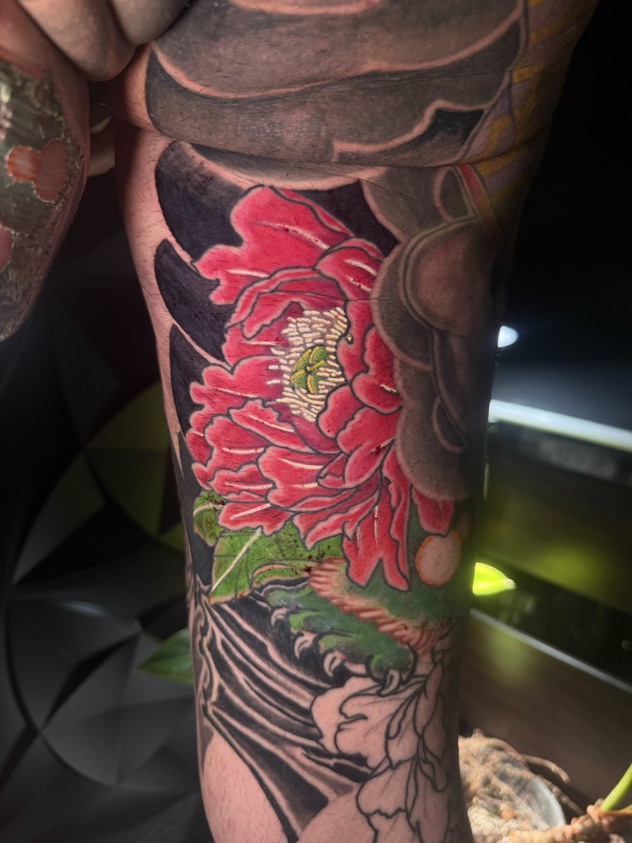 urotat2's tweet photo. 牡丹
#Tattoo    #高知タトゥーワンポイント
#洋彫り     #ファーストタトゥー  #高知ワンポイント  #高知タトゥーショップ   #タトゥー   #和彫り   #洋彫り
#高知tattoo  #高知タトゥーショップ
#高知タトゥー    #牡丹タトゥー
#ユーロタトゥー
 #高知タトゥースタジオ
#高知刺青 https://t.co/gOIs2C2nT8