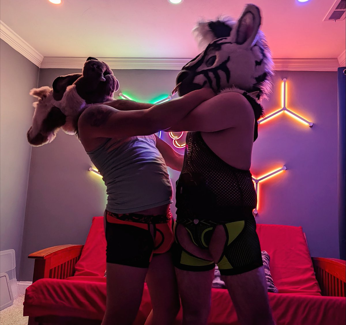 Labraderpy's tweet photo. To the luff of my life, @Zeebroski 

Happy birthday and congrats on hitting the big 30 despite your joints being the even bigger 50 :3 I luff you to the moon. Big ol' luff luff luff! https://t.co/7Qbh1uQBMH