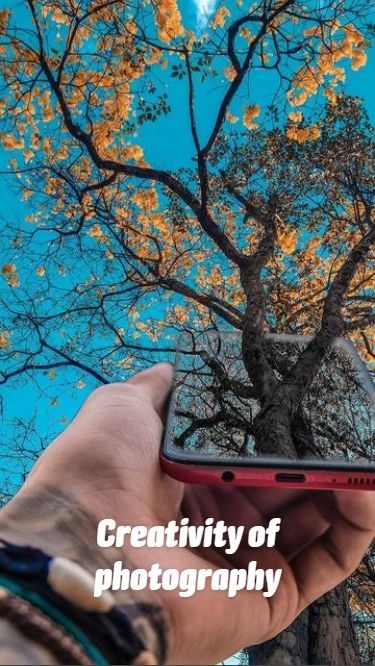 StephenLophk's tweet photo. 想問一下真的有人搭高鐵��看棒球⚾️？
例如南部人去大巨蛋，北部人去亞太之類的👀
當天來回不會很貴嗎😭 https://t.co/3B6SXqkxCh