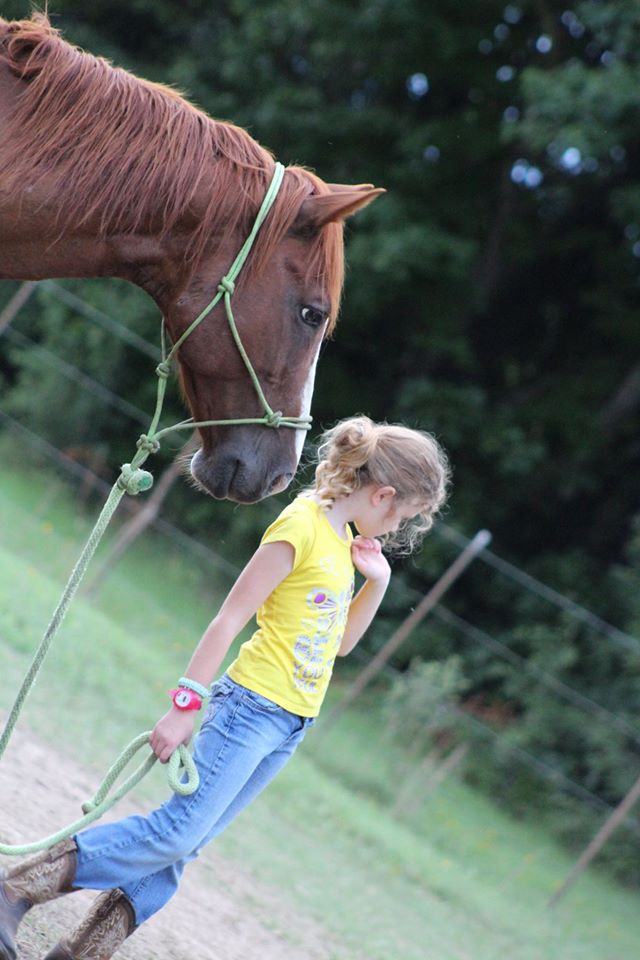 Diegoranchinc's tweet photo. 🚨 I want YOU to look at this picture and tell me what you see? One of our biggest things in equine assisted therapy is teaching about body language and facial expressions.   We need 2 more 👕s today to reach 130 👕s sold.  Let's help the kids and vets out today by showing some love.  Only 4 days left to purchase a t 👕 CLICK HERE TO GET YOURS https://t.co/vyUeMBxUcu