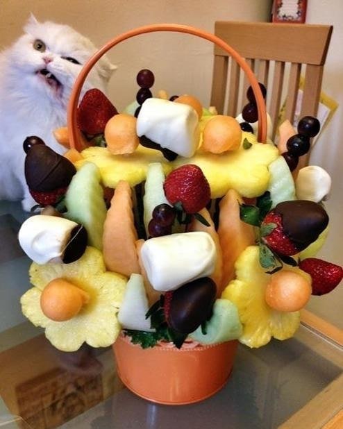 PunchingCat's tweet photo. https://t.co/dU6bd5I4Le