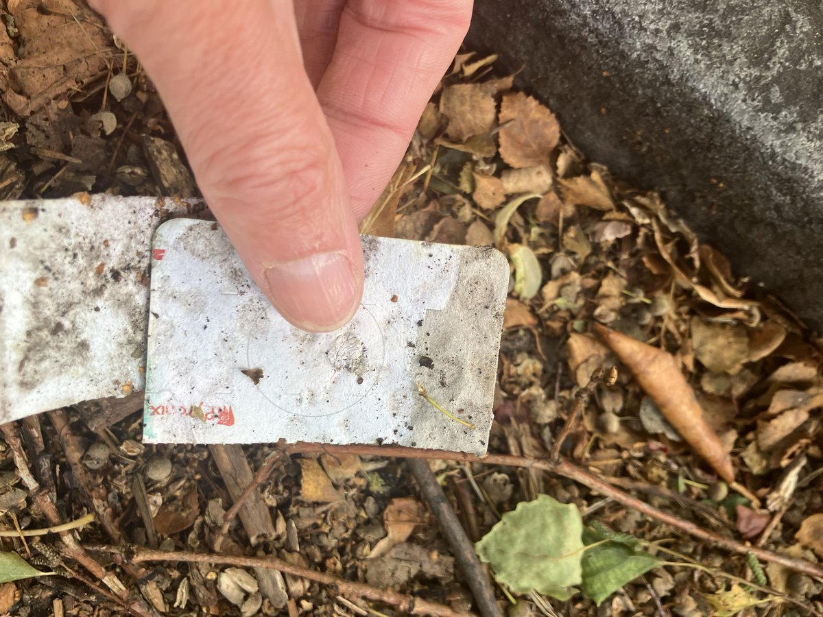 _pickuplitter's tweet photo. @_pickuplitter on duty ✅
Saw, picked, binned. The last four day’s picks: it makes a difference. @KSBScotland #WashYourHands @CleanUpScotland @ZeroWasteScot @PlasticPollutes @Plasticsimpact https://t.co/OnuQIk8wBe