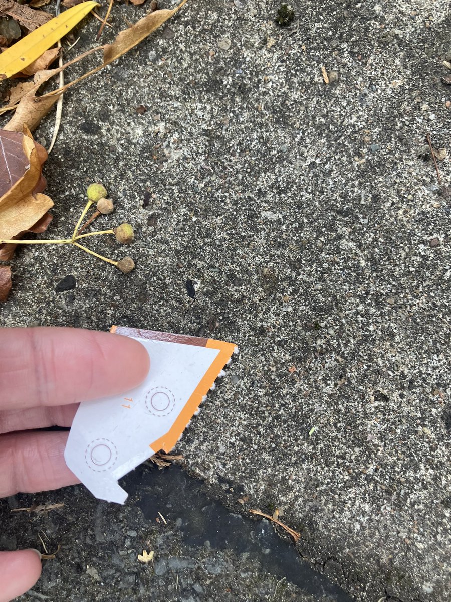 _pickuplitter's tweet photo. @_pickuplitter on duty ✅
Saw, picked, binned. The last four day’s picks: it makes a difference. @KSBScotland #WashYourHands @CleanUpScotland @ZeroWasteScot @PlasticPollutes @Plasticsimpact https://t.co/OnuQIk8wBe