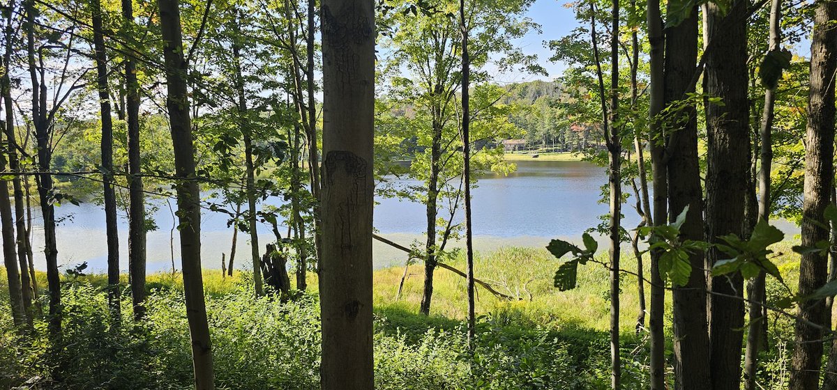 NYLandQuest's tweet photo. 10 acre BUILDING SITE with POND in Richford NY.  Offering privacy, natural beauty, and a recently established driveway entrance.  Perfect for a weekend retreat, hunting and recreational property, or a future homesite.  $69,900.  https://t.co/CTQfcexYic @NYLandQuest #waterfront https://t.co/5Is5pF1yO0