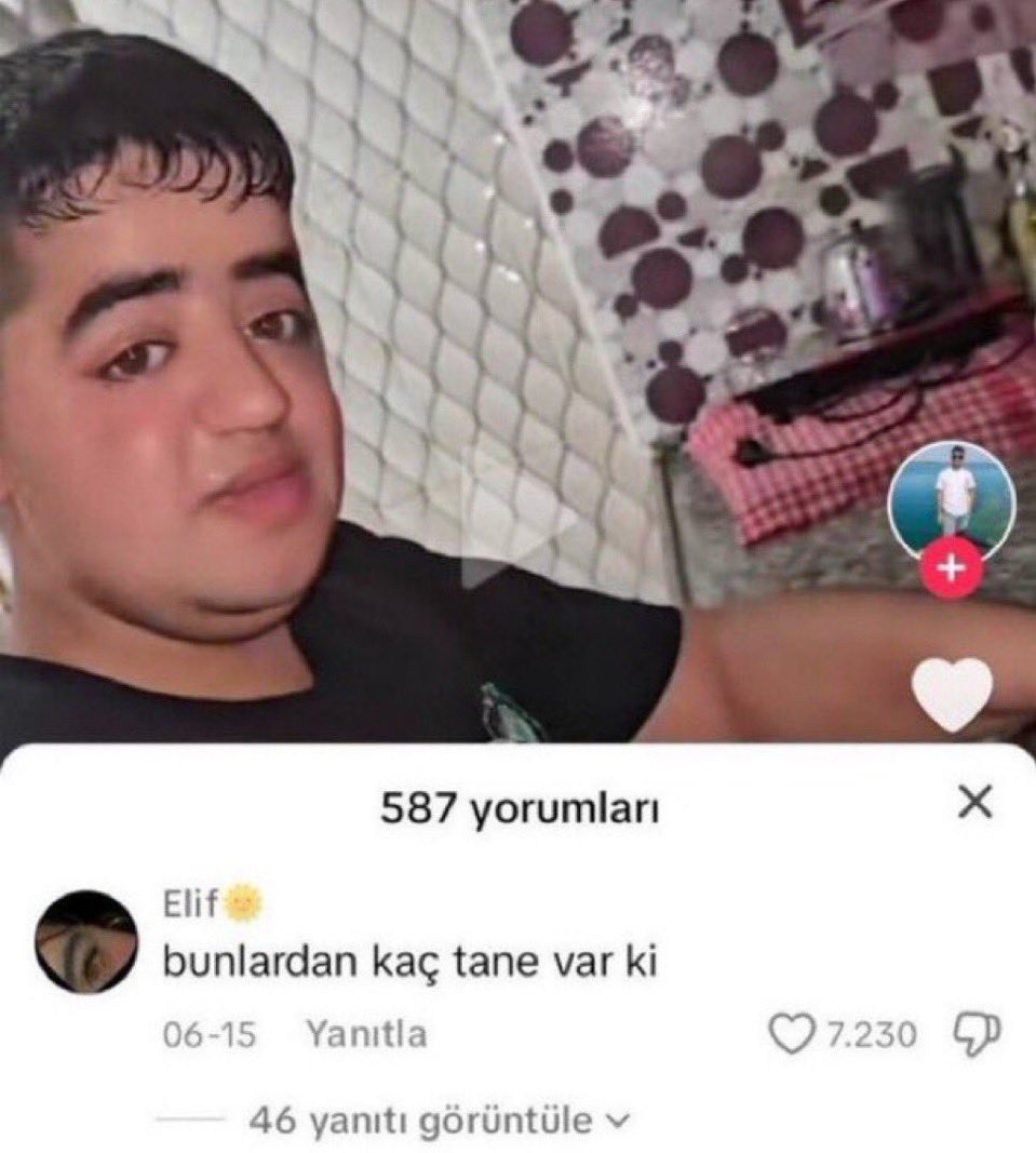 1cecoldkilla's tweet photo. her letterboxd çöktüğünde çıkan diziler ekleniyomuş haberi https://t.co/ua5GJfMVww