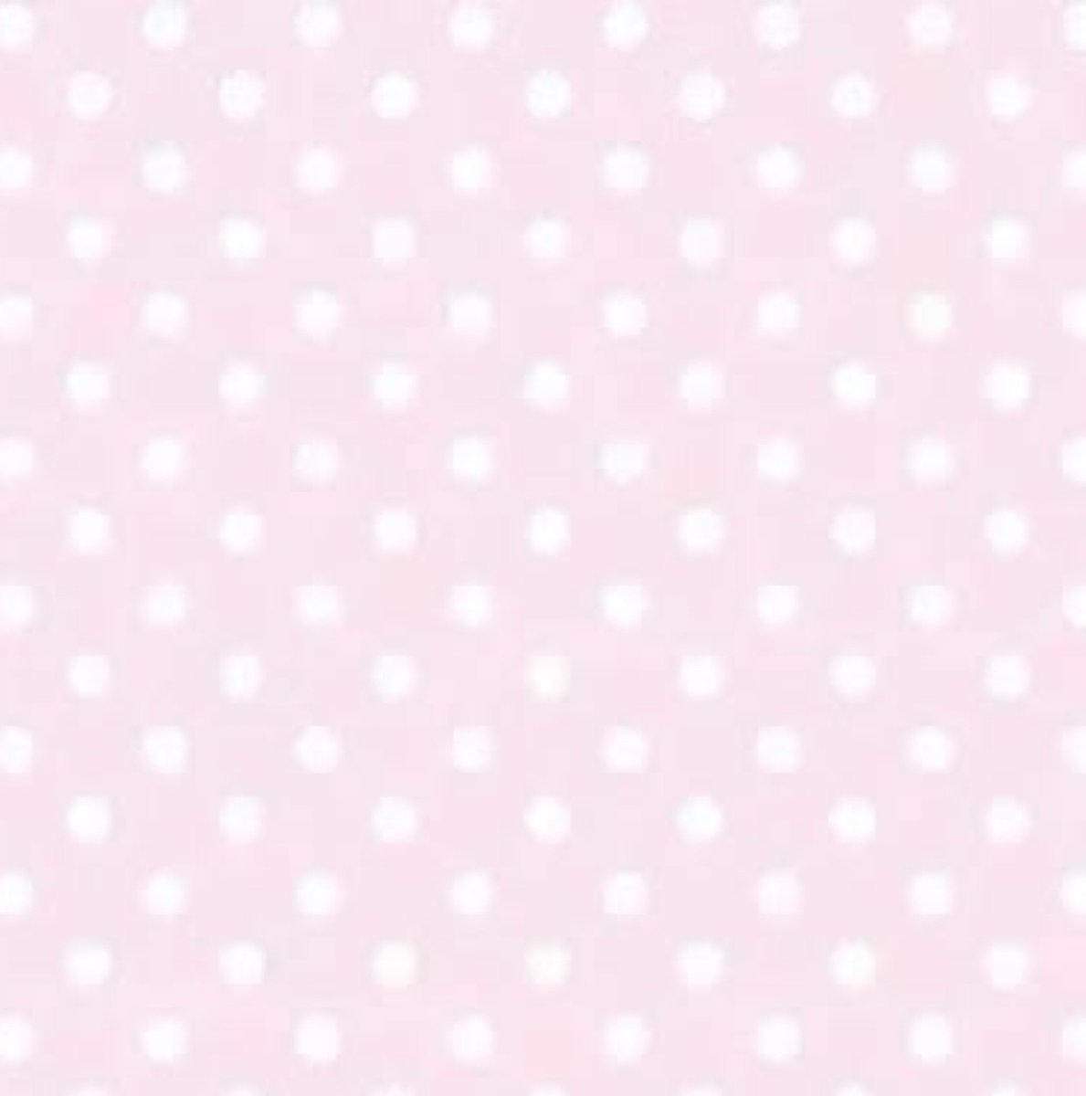 ksund0lls's tweet photo. ㅤㅤㅤㅤㅤㅤㅤㅤb𝗎𝗌cɑ𐓣𝖽𑄙 #mutis
pƚ.5!!
ㅤㅤㅤ⭐️⃠  mɑi𐓣: ᧉ𐓣ჩɑ, ᧉvɑ𐓣, ƚxƚ, ɑ𝖽𝗉

🪽⃠ oƚჩᧉr𝗌: roƚƚᧉ𐓣 mɑ𐓣go, 𐓣ჩb𝖽, 𝗌ɑbri𐓣ɑ Cɑrpᧉ𐓣ƚᧉr, ᧉyᧉdrᧉss

ㅤㅤㅤ—15yr𝗌 / i𐓣ƚp / ᧉ𐓣g-𝗌pɑ 

DNI: zoo, pdf, nsfw

#subtwt #anitwt #kpoptwt #edrtwt #stantwt https://t.co/V6QuzefKEN