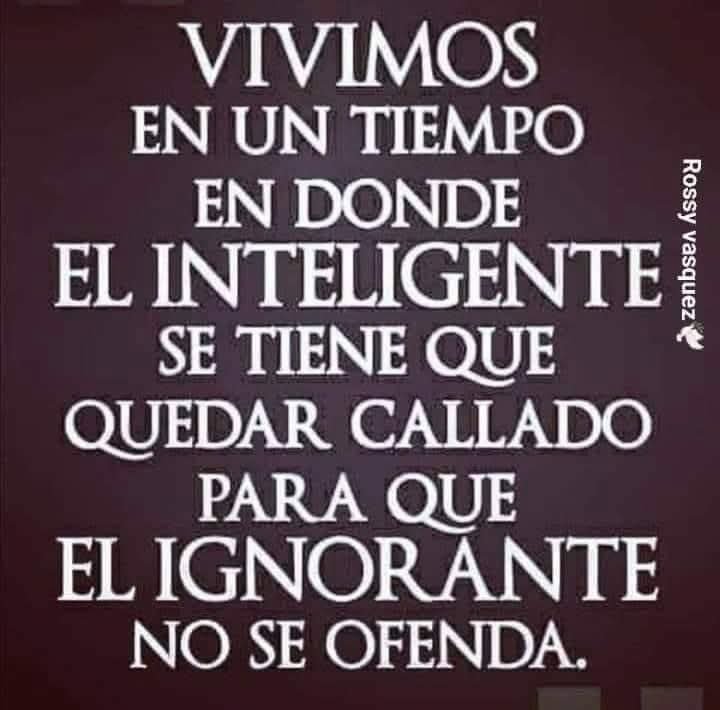 SGranizo's tweet photo. @Lalizen_Ziada @RC5Oficial https://t.co/uEKpqaPB3v