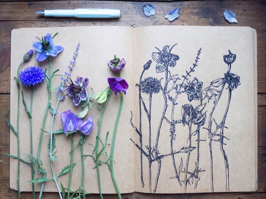 silverpebble's tweet photo. There are still some spaces on my 2 upcoming zoom workshops:
bird illustration & mental health (10 Oct) & botanical illustration & mental health (7 Nov). I teach you how to draw birds or plants & how creative activity alters brain biochemistry to lift mood. Incl 10% off gorgeous materials @presentcorrect & full recording: https://t.co/kPAOqB9K9v