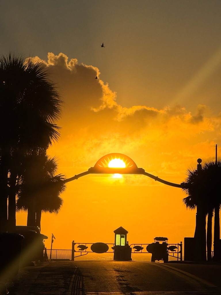 FlyDAB's tweet photo. 🌅 Fall views of Flagler Ave in New Smyrna Beach >

✈️ Fly in and see it for yourself: https://t.co/maqrjaNAkZ

📸: keepnsbclean

#FlyDAB #LoveNSB #NewSmyrnaBeach #DaytonaBeach 
@NewSmyrnaBeach1 https://t.co/LnK68TXo5d