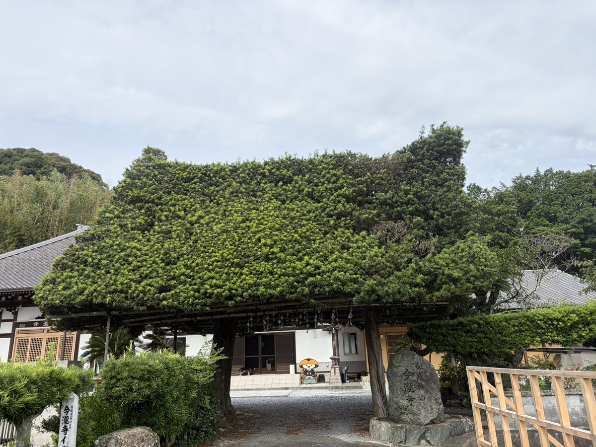 Yumijodo's tweet photo. おはようございます🌱🍃🫧

9月24日(木)🌤️

関東で天気が回復
日差しが増える分
気温が高くなる
北海道は前線が通過
広い範囲で雨
水分補給行い
熱中症に気を付けて下さい🐈‍⬛🐾

優しい繋がりに感謝します
ありがとうございます💖
今日も宜しくお願いします🌸

素敵な一日を☘️🫧 https://t.co/kphAWprNRv