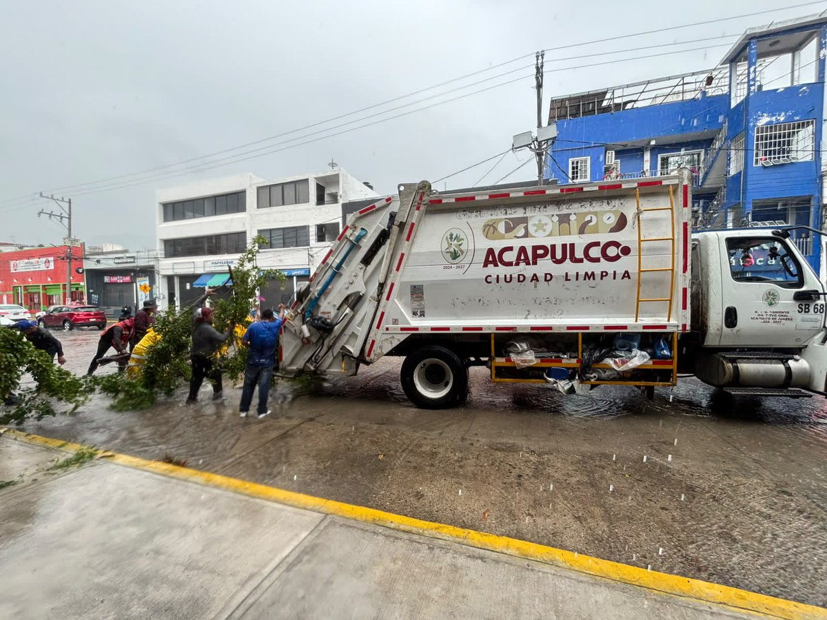 percepcionpoder's tweet photo. #HuracánPolo 🌬️🌀 El Gobierno Municipal de #Acapulco atendió el reporte de un árbol 🌳 colapsado en la avenida Universidad, a consecuencia de los efectos del huracán #Polo. https://t.co/4Z92YNmEGJ