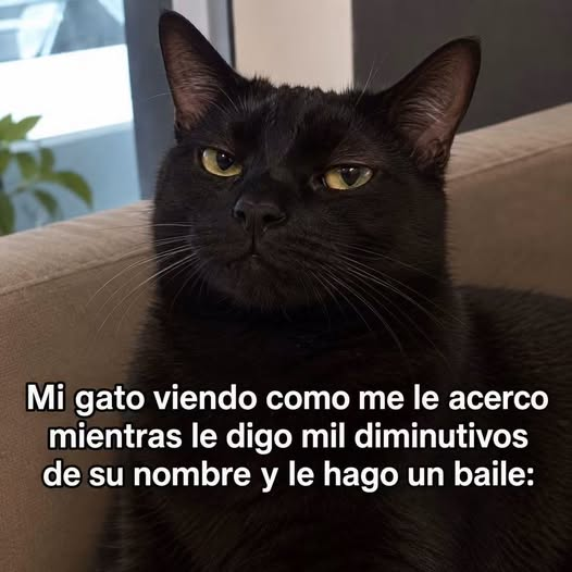 BerniceSanz's tweet photo. Si soy!!!! 😅😂🤣 https://t.co/FvZWOKRU74