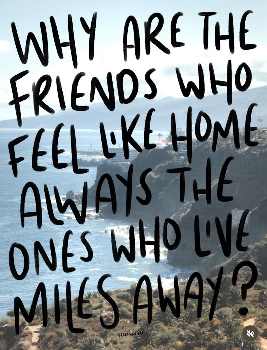 coachmekat's tweet photo. I don’t know how true this feels for you, but it’s 100% true for me… 🥺💖💕✨ https://t.co/ufwvsZfQhs
