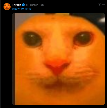 zerozerozeroeq's tweet photo. Youre not even trying to act like this shitty character anymore walkin, you are. BAR FOR BAR, acting and posting exactly like your original account 

How fucking lazy and pathetic you are, is just beyond words

Just a reminder that your art is mid and that you have no place here. https://t.co/t11FU0VhXw