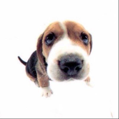 silly_guy1703's tweet photo. #NewProfilePic https://t.co/T2ApBP7SQo
