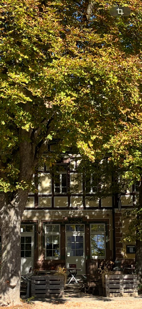patopen's tweet photo. 大好きな町も、もうすっかり秋🍂
調子に乗って暖炉に火を焚べてから思い出した、今日おひとり様だった、、、夫よ早よ来い！ https://t.co/cjAH2O2RBD