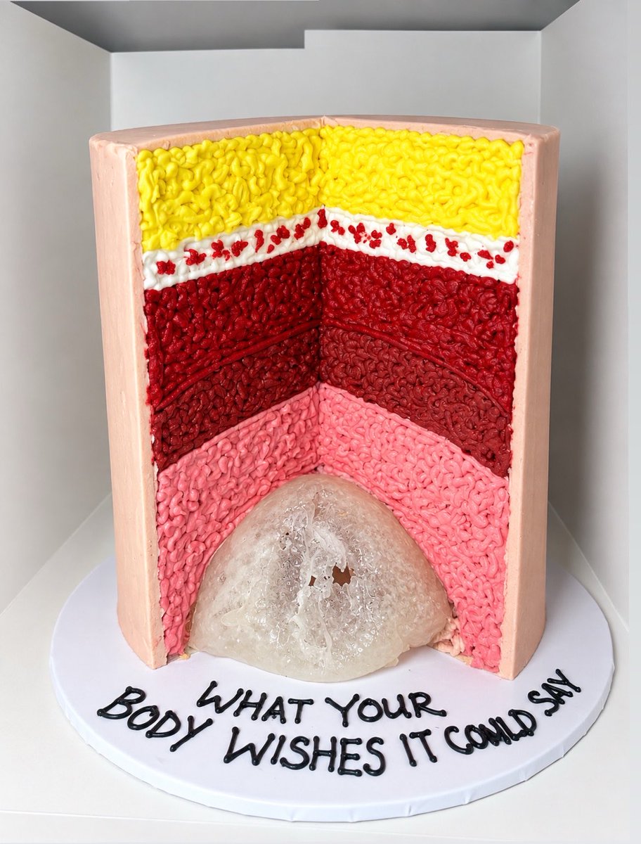 thatguytelvin's tweet photo. WHAT YOUR BODY WISHES IT COULD SAY. 📖 

I wanted to show C-section from a different perspective, not the usual baby themed cake, but what happens beneath the skin.

Every layer represents a part of the body, leading to the moment of birth.

A cake can be more than decoration. https://t.co/Fbzbnb0f2o