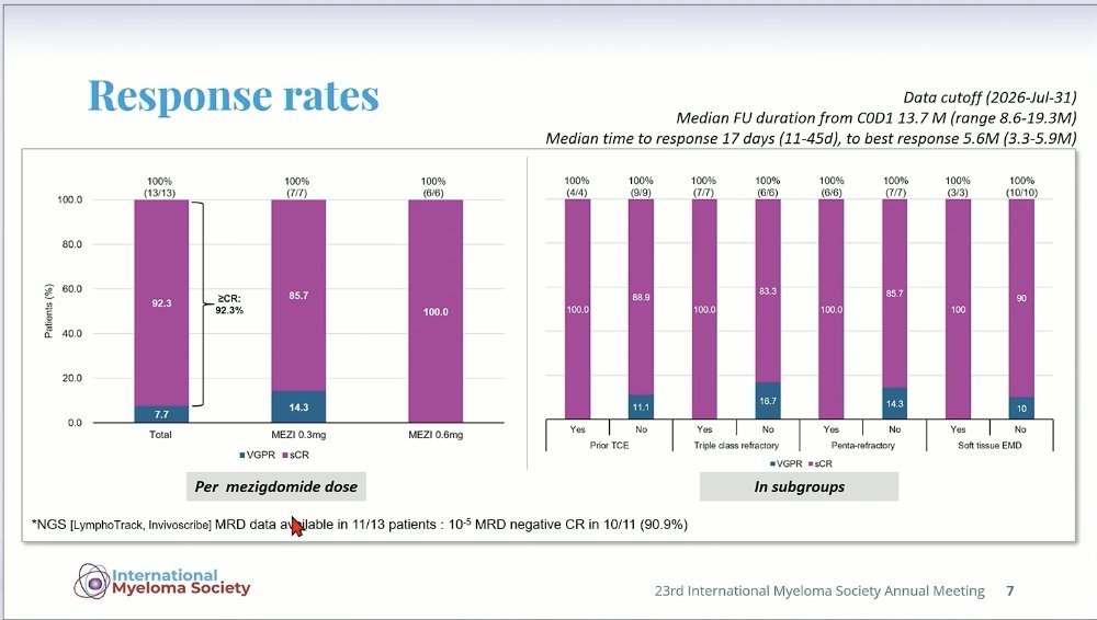 Samer Al Hadidi, MD,MS,FACP (@HadidiSamer) — #IMS26 — MELT-MM data slide