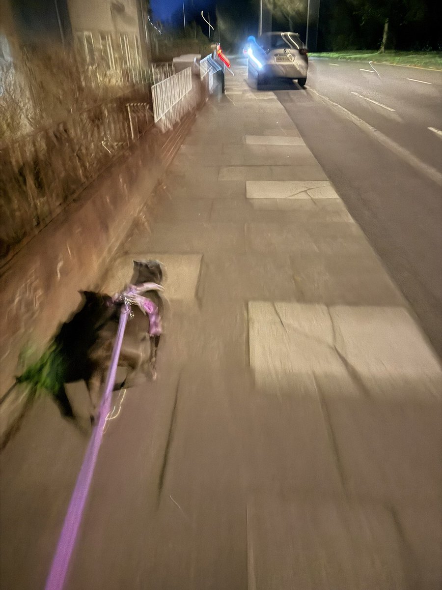 IsaMary2021's tweet photo. We’ve been for a night run. I ran so fast the photos came out blurry 🐕🦺💨💨💨💨
#IsaMary #SuperFast #Dogs #Whoosh https://t.co/5nQIufdufy
