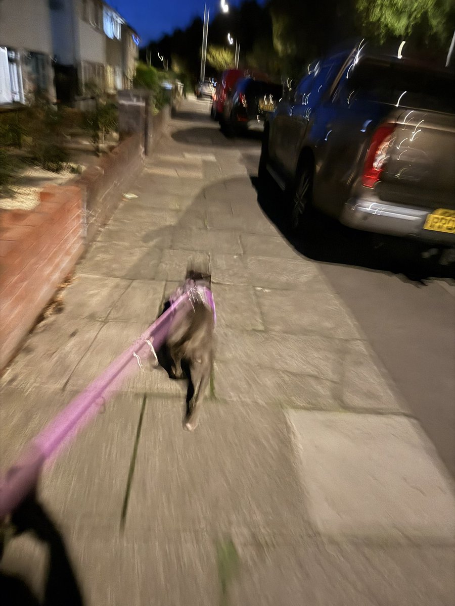 IsaMary2021's tweet photo. We’ve been for a night run. I ran so fast the photos came out blurry 🐕🦺💨💨💨💨
#IsaMary #SuperFast #Dogs #Whoosh https://t.co/5nQIufdufy