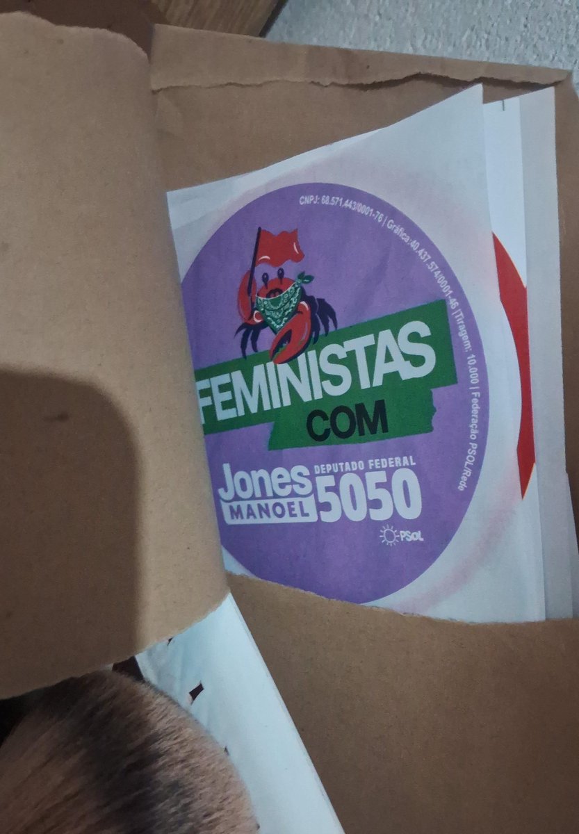 guillscr87's tweet photo. Minha irmã pediu material do soviético, o que é melhor fazer? 

Jogo no lixo, Rasgo ou taco fogo? https://t.co/8GZyKvcn4k