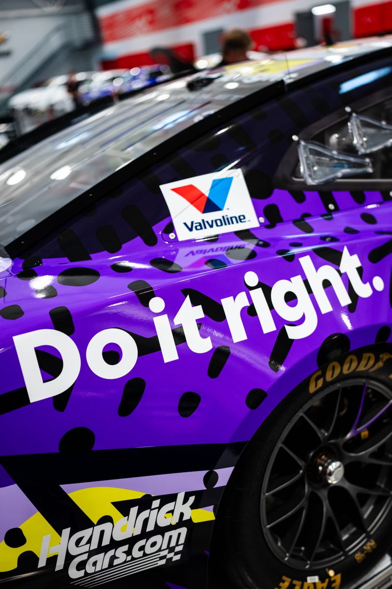 TeamHendrick's tweet photo. Chosen by the fans! 💜 https://t.co/un6HE6LtaI