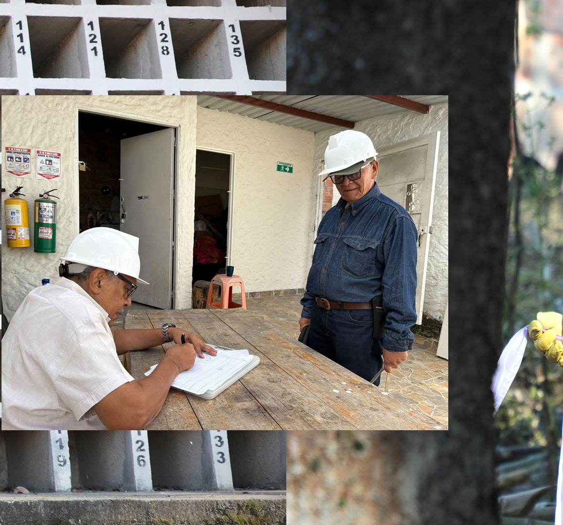 SAADfirmantes's tweet photo. 📍Cementerio de Pitalito, Huila.

Con labores de limpieza y adecuación, los comparecientes del Macrocaso 01 cumplen su 3ª jornada de sanciones propias, avanzando en uno de los pilares clave de la sanción, la busqueda de personas dadas por desaparecidas. 🕊️

#SeguimosCumpliendo https://t.co/b8azhSVAlX