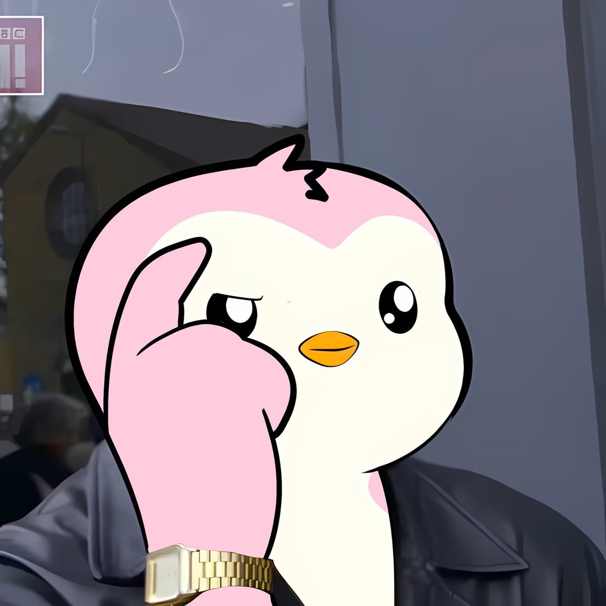 PudgyPolly_'s tweet photo. @CryptoCurb accumulating $PENGU via solana:7MCgYMzq3fov6oERdtTMAYbN2U9LZrrSYS1MBhjixZFr https://t.co/0xyoGBuzUN