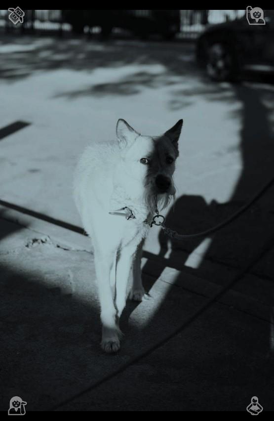 SpacePicture's tweet photo. Clear summer brooks wind through green valleys with cool flowing water touching smooth round stones.The gurgling water sounds compose a lively natural tune unique to summer wilderness scenery.🖋Tomato pasta Basil, sliced https://t.co/pmY5Axw383