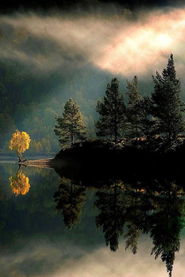 Gitana1369877's tweet photo. "Everything we hear is an opinion, not a fact. Everything we see is a perspective, not the truth." https://t.co/sWFZ4DBt5W