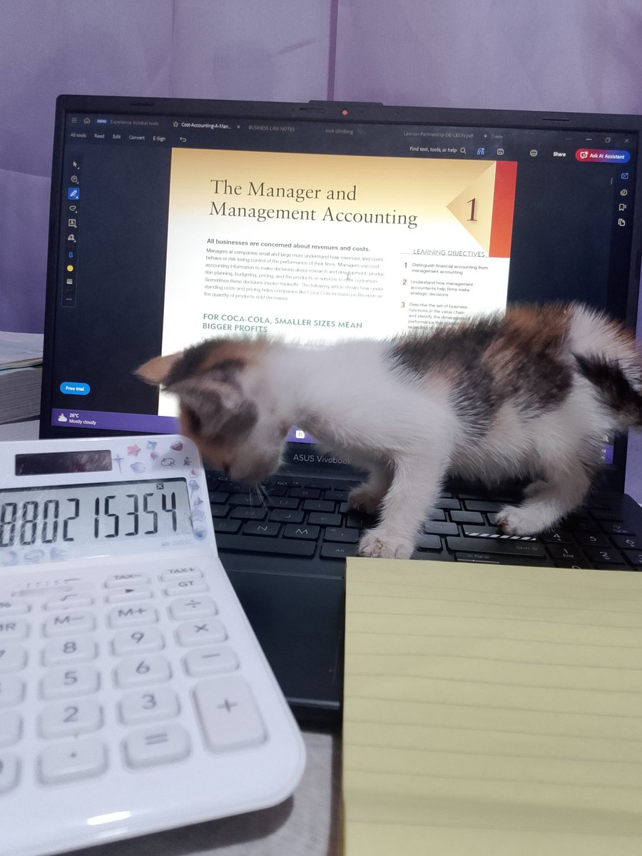 mistcellaneous's tweet photo. 09.23.26 
— 2hrs &amp; 30mins

mist study logs ⋆౨ৎ˚⟡˖ ࣪

➵ studied business logic for quiz tapos cancelled again 
➵ finished reviewing and took fil prelims 
➵ for the nth time, reviewing activity-based costing

#studytwt https://t.co/9Cf0Kkxh2T