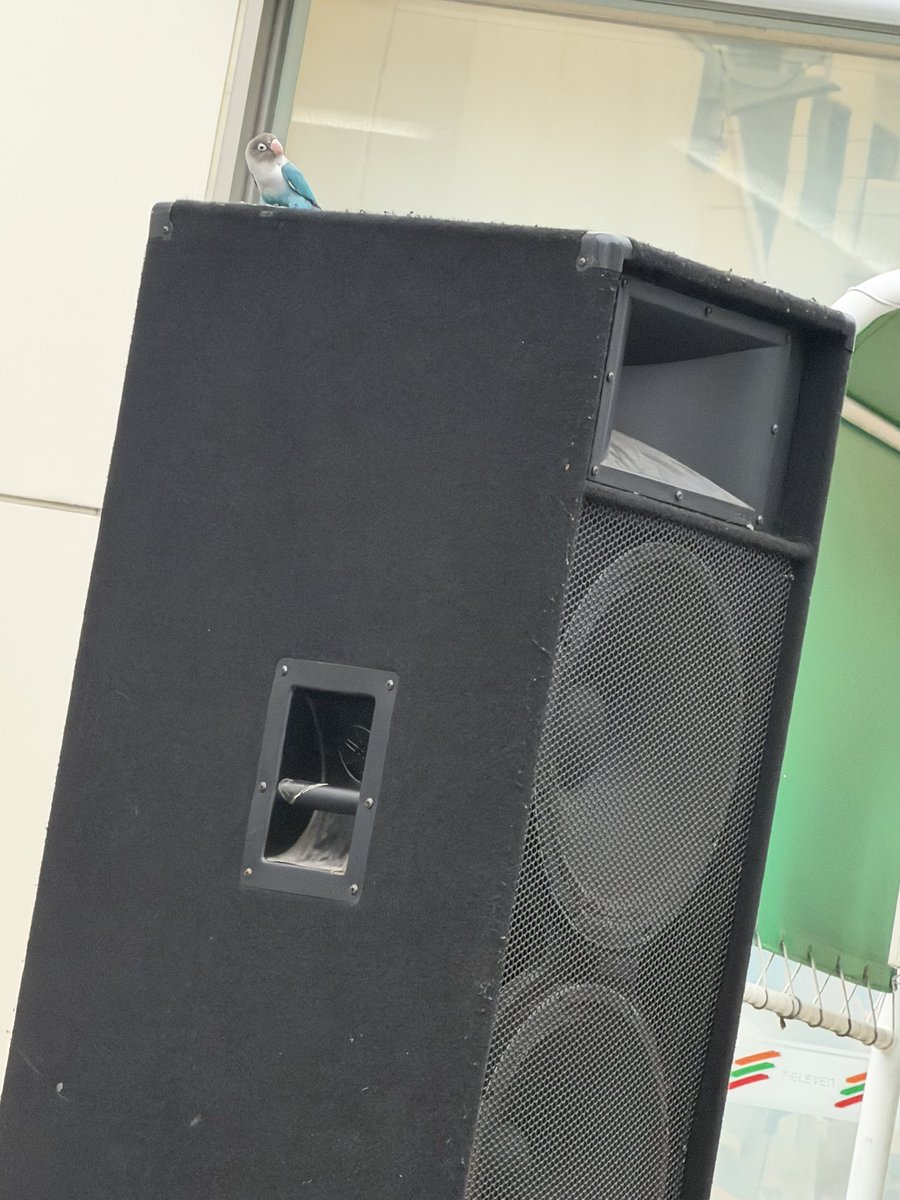 yooooookn's tweet photo. 今年も今池祭り担当いたしました！ https://t.co/Q9HB1X8No9